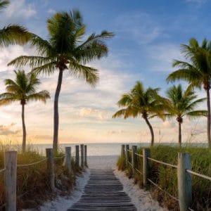 Beach Scene